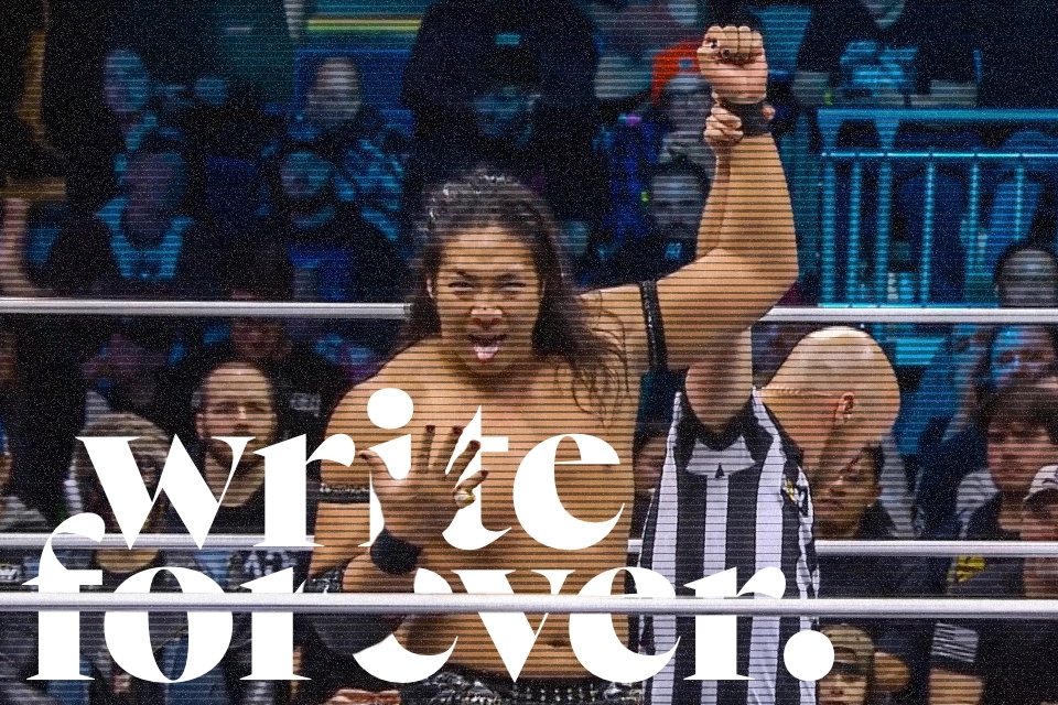 Write Forever: This world is shit but at least there's wrestling